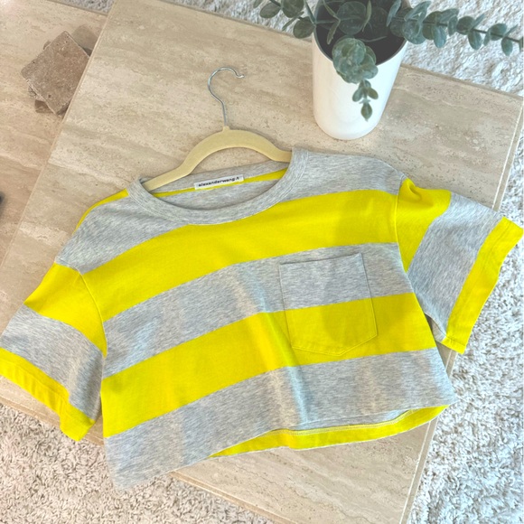 Alexander Wang Tops - Alexander Wang Cropped T Shirt